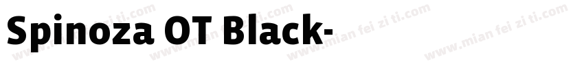 Spinoza OT Black字体转换